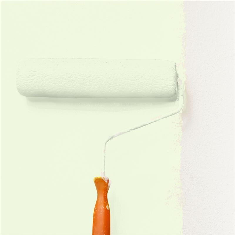 Wandfarbe Matt NCS-S-0510-G40Y Profi Qualität für Innen