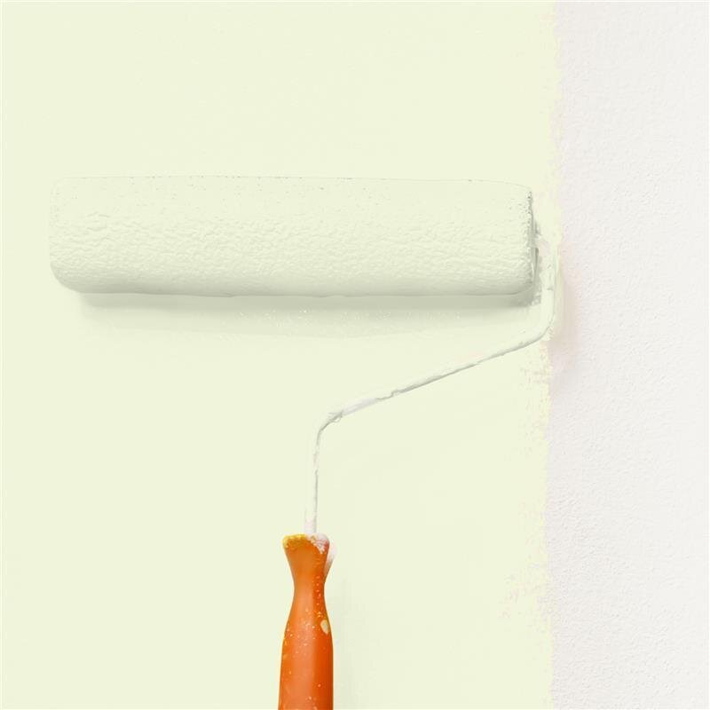 Wandfarbe Matt NCS-S-0510-G60Y Profi Qualität für Innen