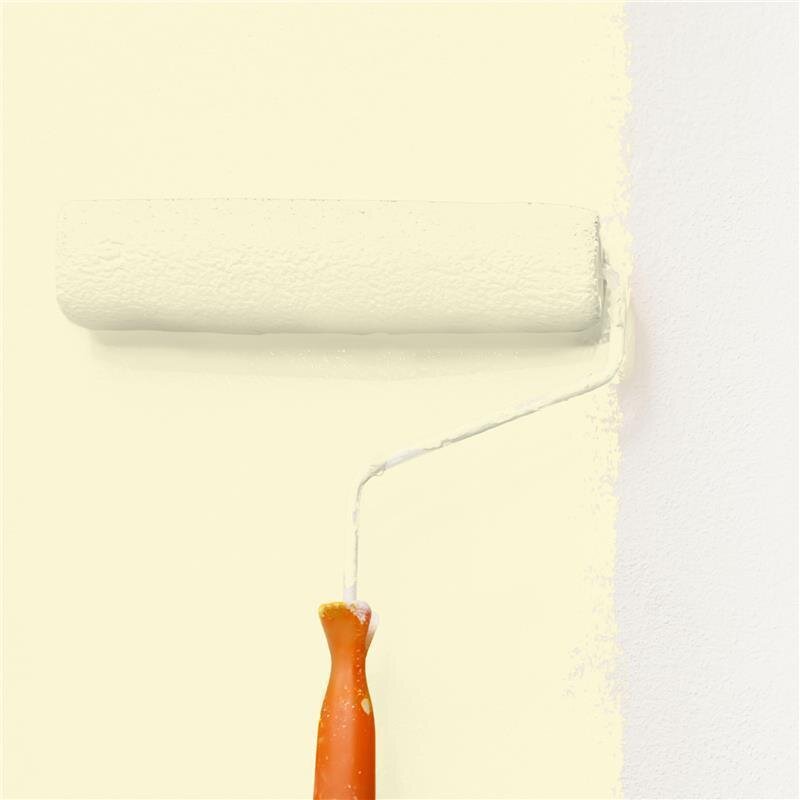 Wandfarbe Matt NCS-S-0510-G90Y Profi Qualität für Innen