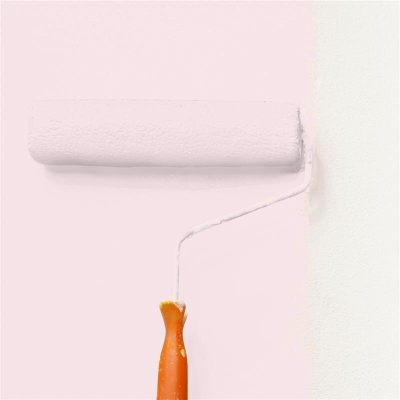 Wandfarbe Matt NCS-S-0510-R20B Profi Qualität für Innen