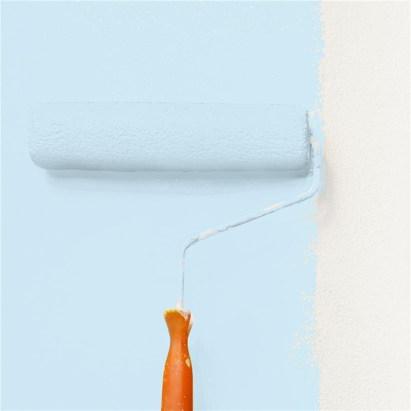 Wandfarbe Matt NCS-S-0515-B Profi Qualität für Innen