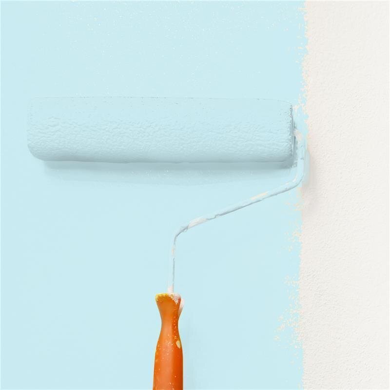 Wandfarbe Matt NCS-S-0515-B20G Profi Qualität für Innen