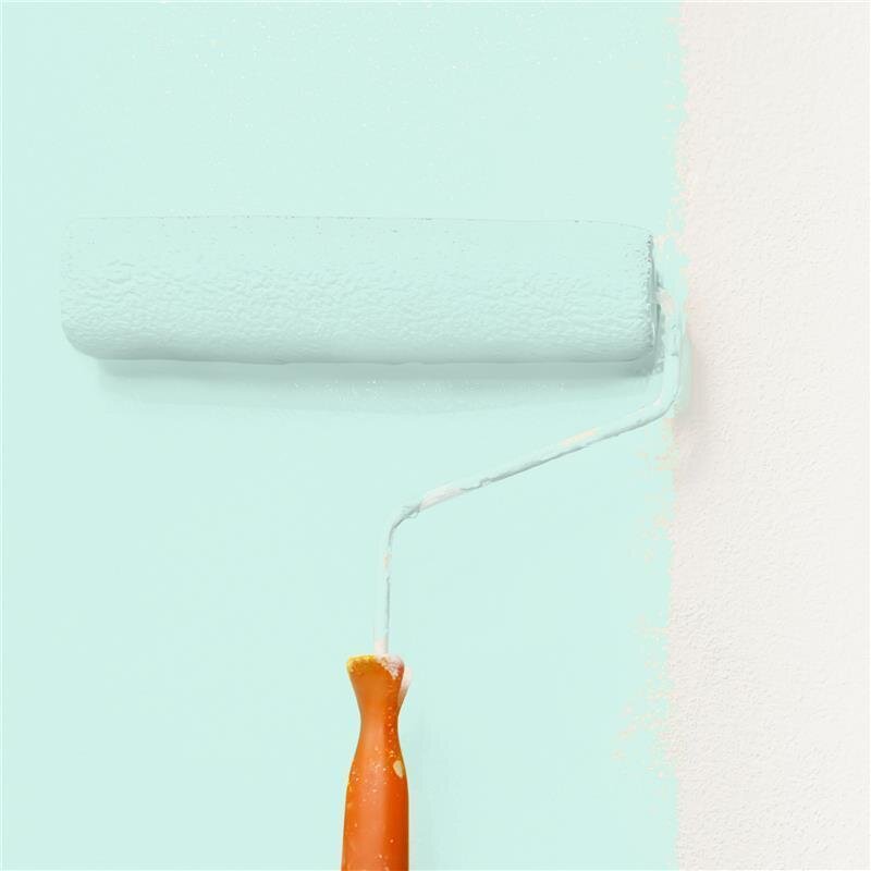 Wandfarbe Matt NCS-S-0515-B80G Profi Qualität für Innen