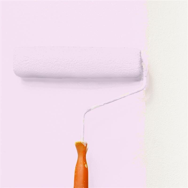 Wandfarbe Matt NCS-S-0515-R40B Profi Qualität für Innen