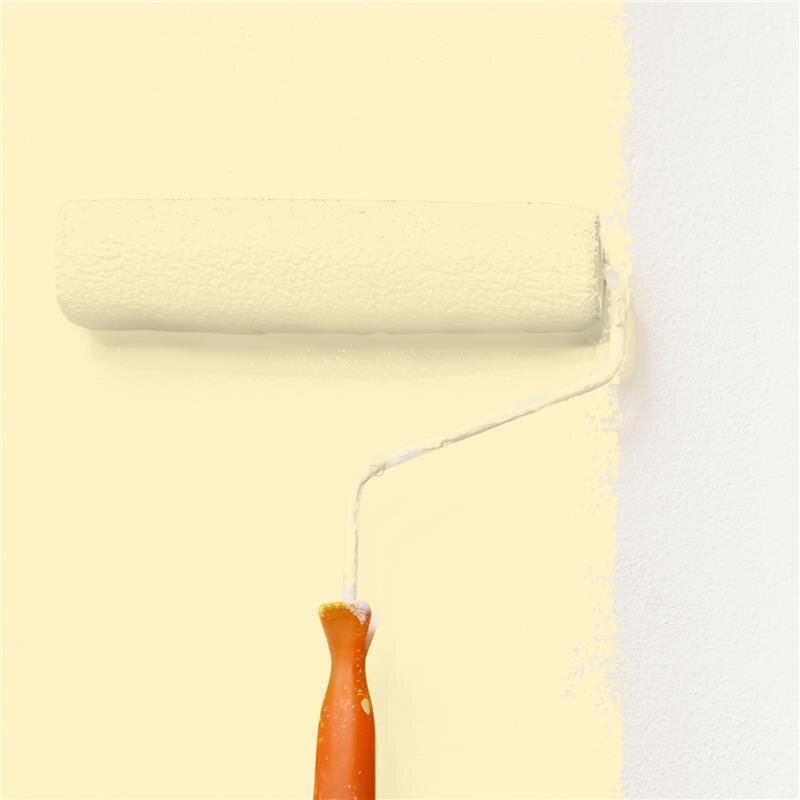 Wandfarbe Matt NCS-S-0515-Y Profi Qualität für Innen