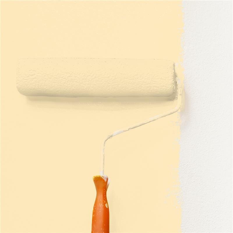 Wandfarbe Matt NCS-S-0515-Y20R Profi Qualität für Innen