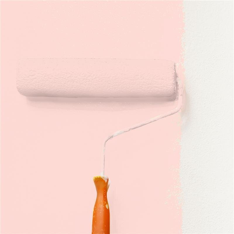 Wandfarbe Matt NCS-S-0515-Y90R Profi Qualität für Innen