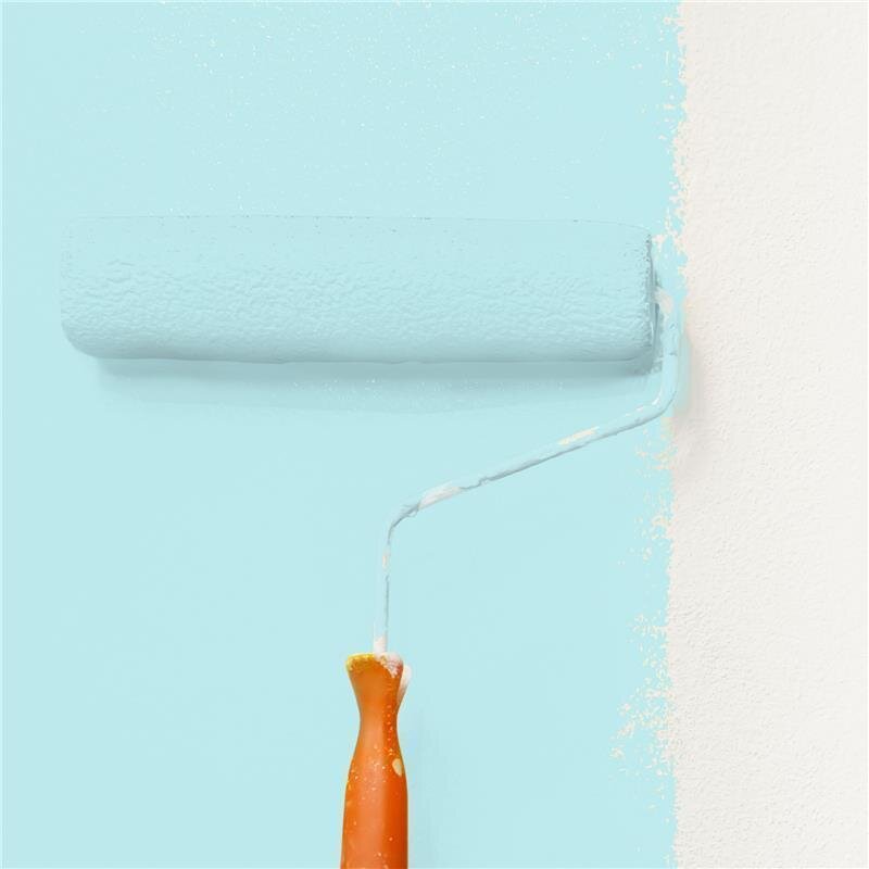 Wandfarbe Matt NCS-S-0520-B30G Profi Qualität für Innen