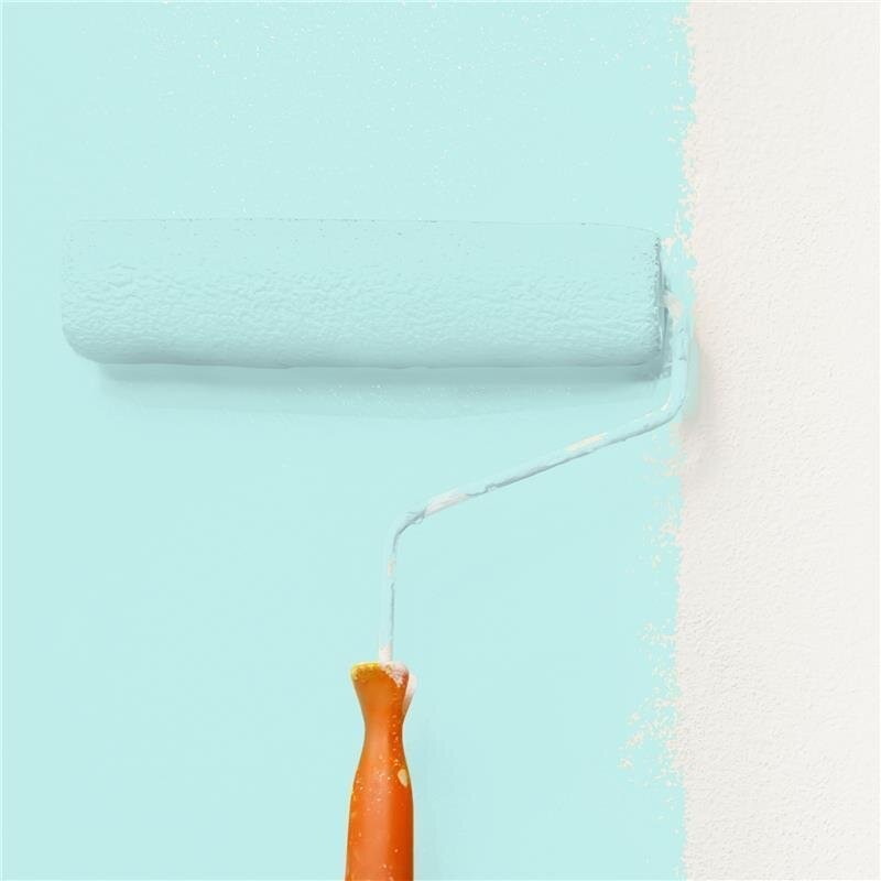 Wandfarbe Matt NCS-S-0520-B50G Profi Qualität für Innen