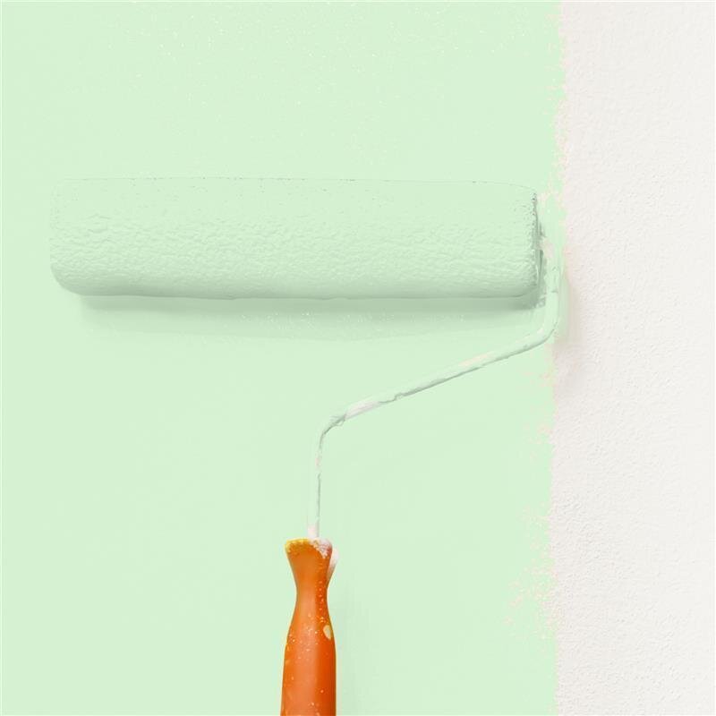 Wandfarbe Matt NCS-S-0520-G20Y Profi Qualität für Innen