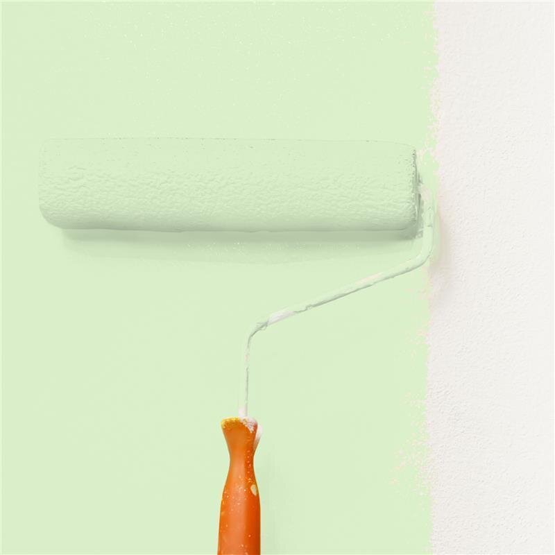 Wandfarbe Matt NCS-S-0520-G30Y Profi Qualität für Innen