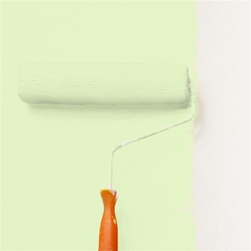 Wandfarbe Matt NCS-S-0520-G40Y Profi Qualität für Innen