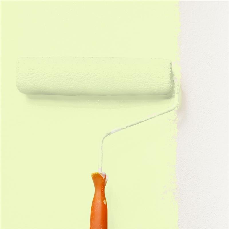 Wandfarbe Matt NCS-S-0520-G50Y Profi Qualität für Innen