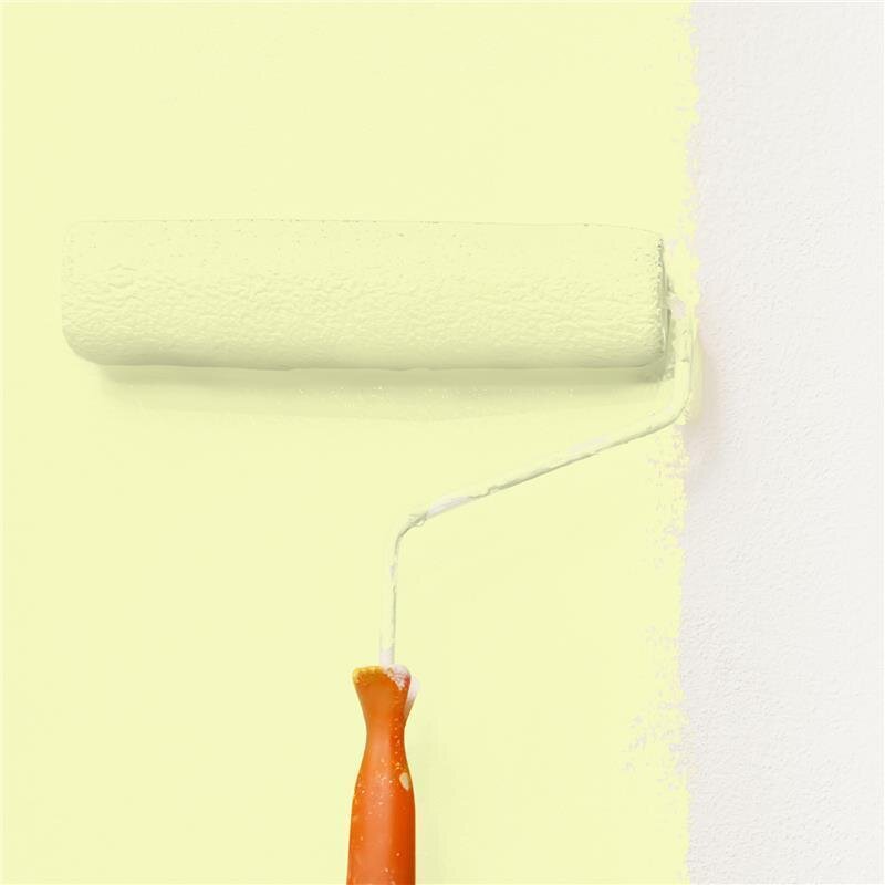 Wandfarbe Matt NCS-S-0520-G70Y Profi Qualität für Innen