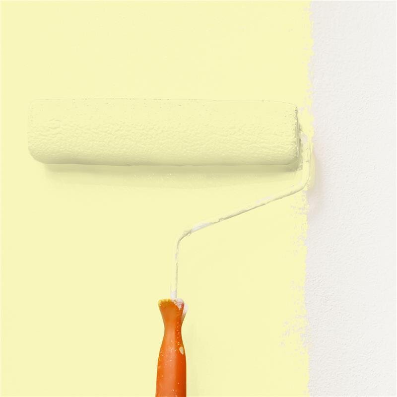 Wandfarbe Matt NCS-S-0520-G80Y Profi Qualität für Innen