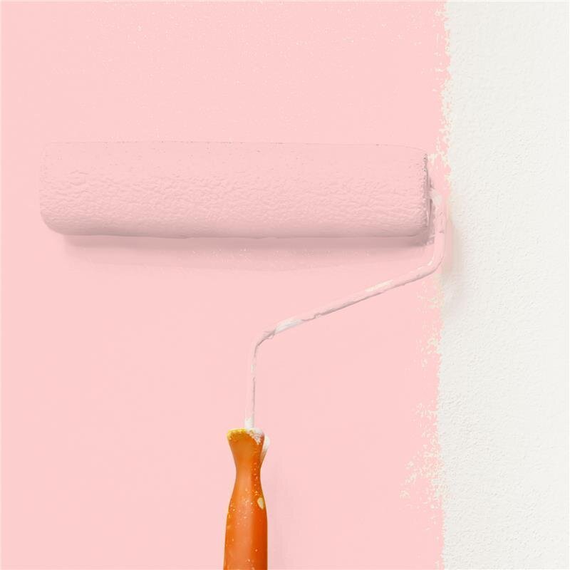 Wandfarbe Matt NCS-S-0520-R Profi Qualität für Innen