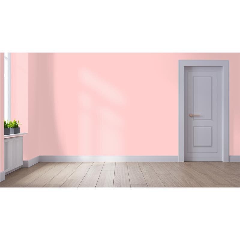 Wandfarbe Matt NCS-S-0520-R Profi Qualität für Innen