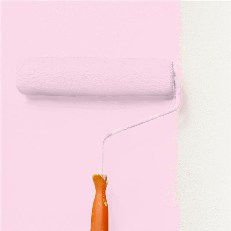 Wandfarbe Matt NCS-S-0520-R30B Profi Qualität für Innen