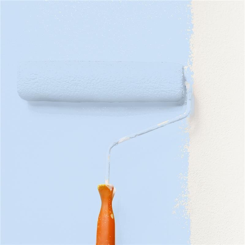 Wandfarbe Matt NCS-S-0520-R80B Profi Qualität für Innen