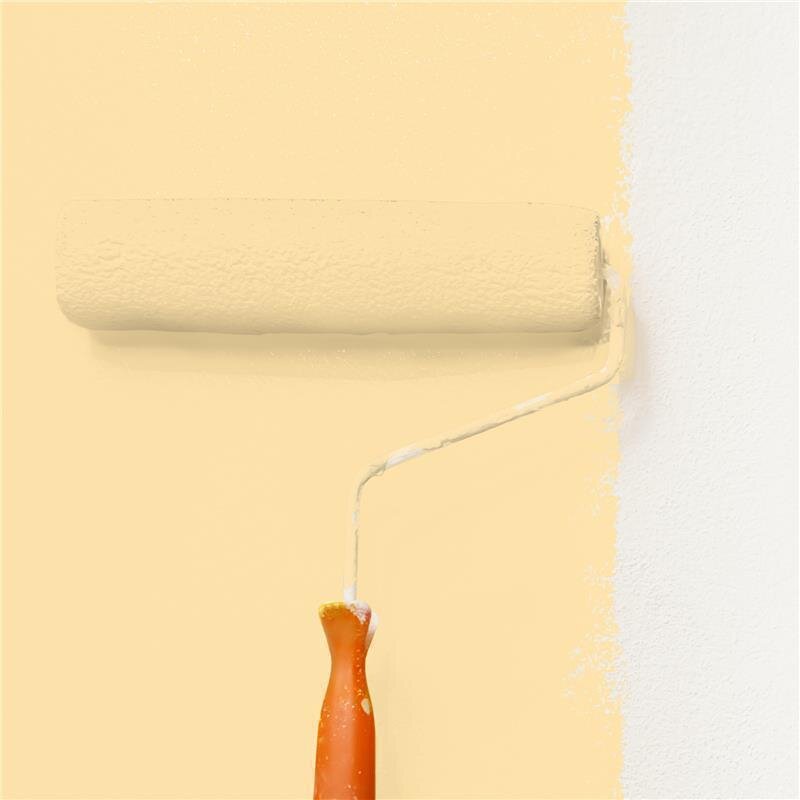 Wandfarbe Matt NCS-S-0520-Y20R Profi Qualität für Innen