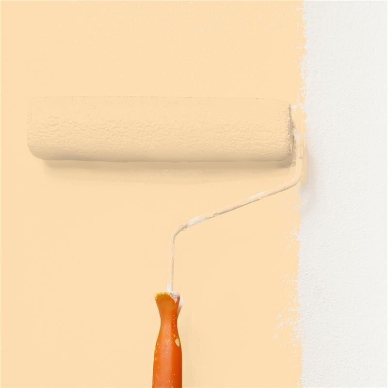 Wandfarbe Matt NCS-S-0520-Y30R Profi Qualität für Innen