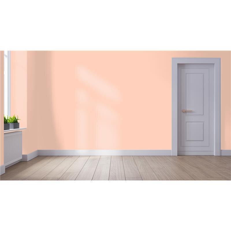 Wandfarbe Matt NCS-S-0520-Y70R Profi Qualität für Innen