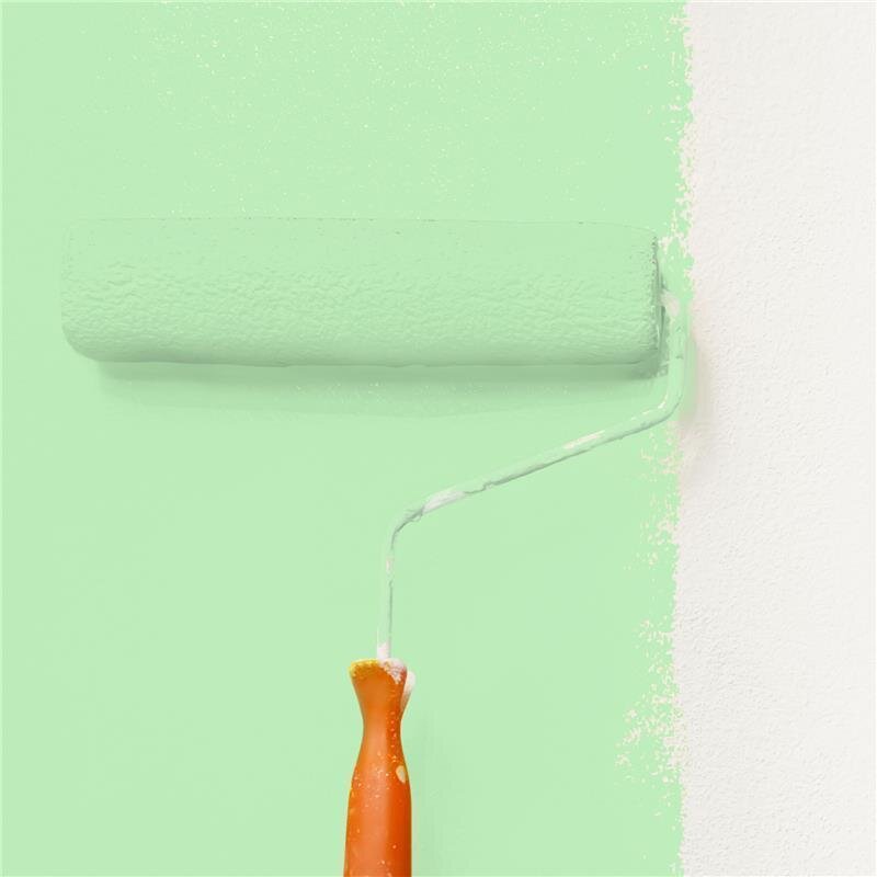 Wandfarbe Matt NCS-S-0530-G20Y Profi Qualität für Innen