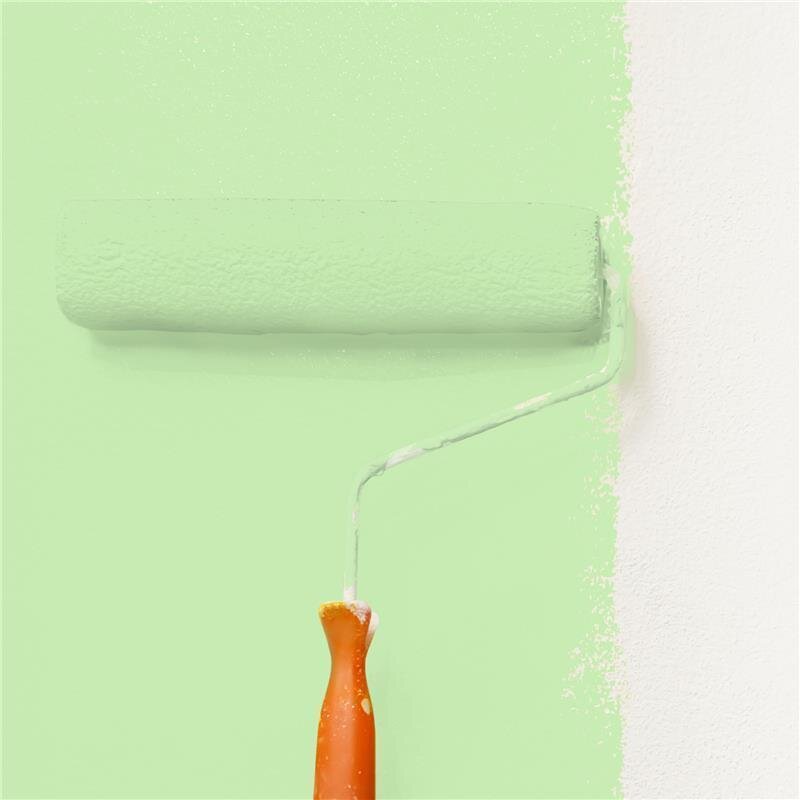 Wandfarbe Matt NCS-S-0530-G30Y Profi Qualität für Innen