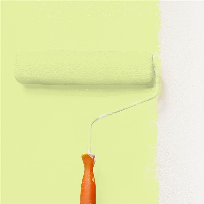 Wandfarbe Matt NCS-S-0530-G60Y Profi Qualität für Innen