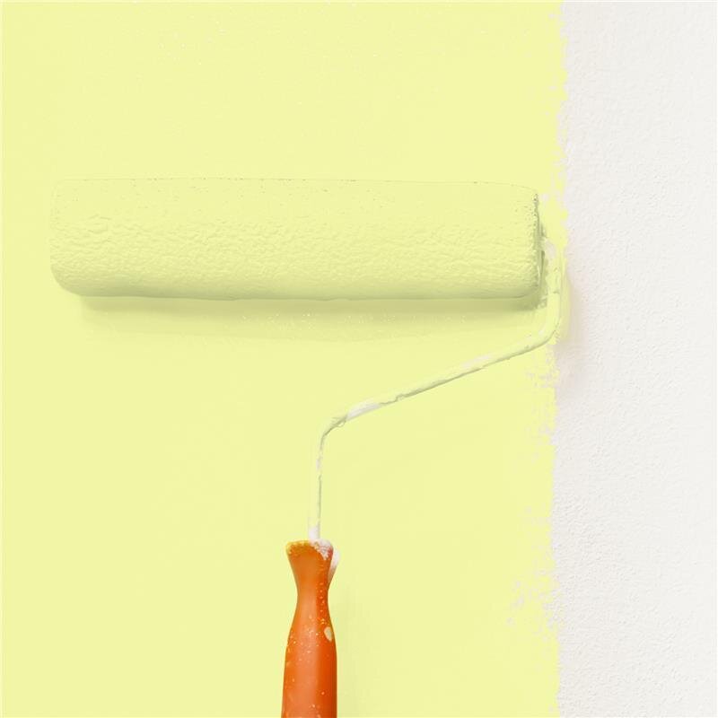 Wandfarbe Matt NCS-S-0530-G70Y Profi Qualität für Innen