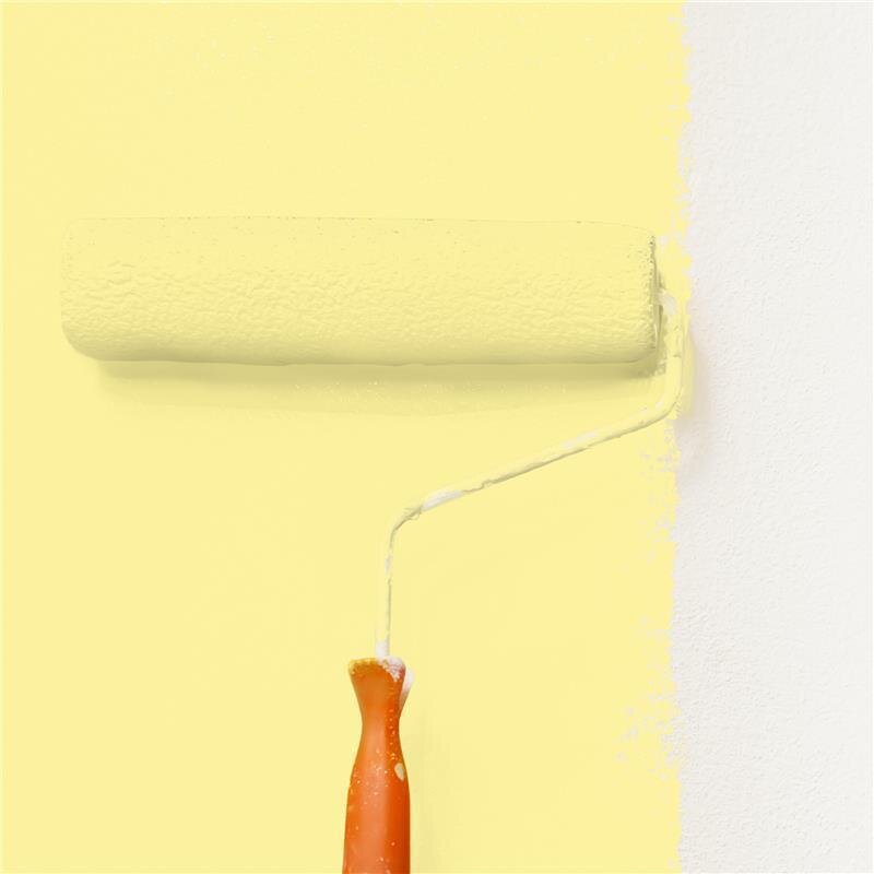 Wandfarbe Matt NCS-S-0530-G90Y Profi Qualität für Innen