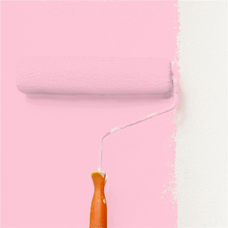 Wandfarbe Matt NCS-S-0530-R20B Profi Qualität für Innen