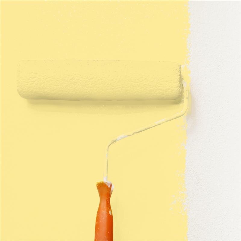 Wandfarbe Matt NCS-S-0530-Y Profi Qualität für Innen