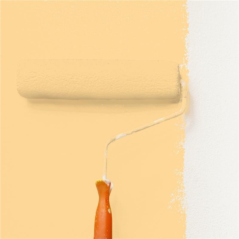 Wandfarbe Matt NCS-S-0530-Y20R Profi Qualität für Innen