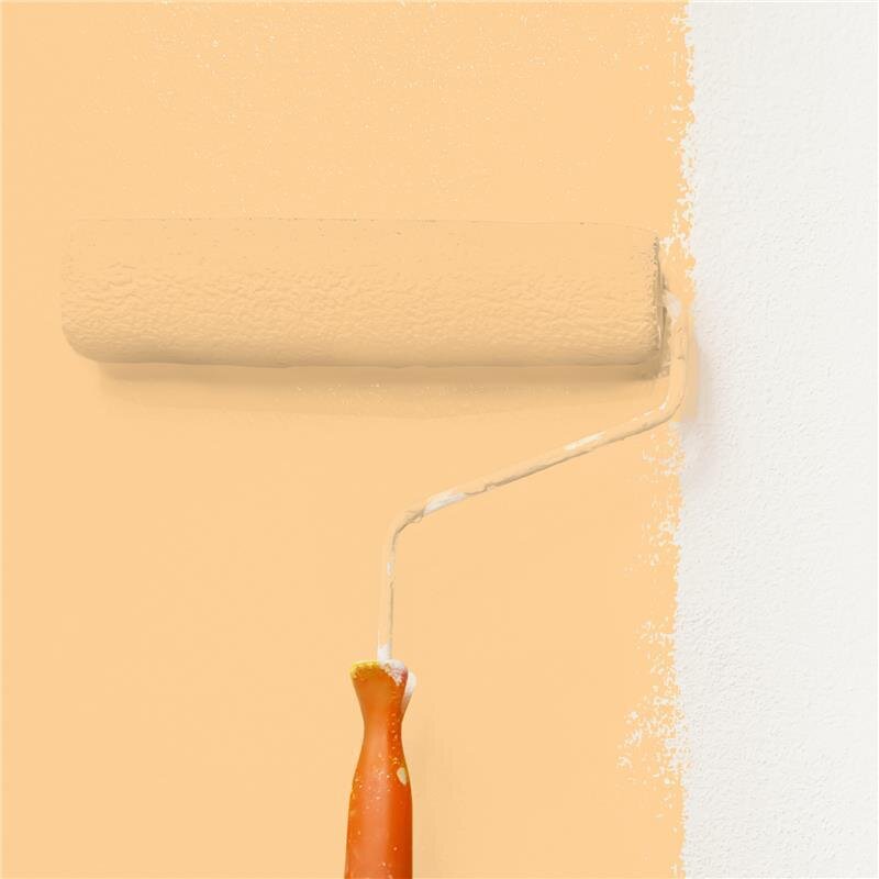 Wandfarbe Matt NCS-S-0530-Y30R Profi Qualität für Innen