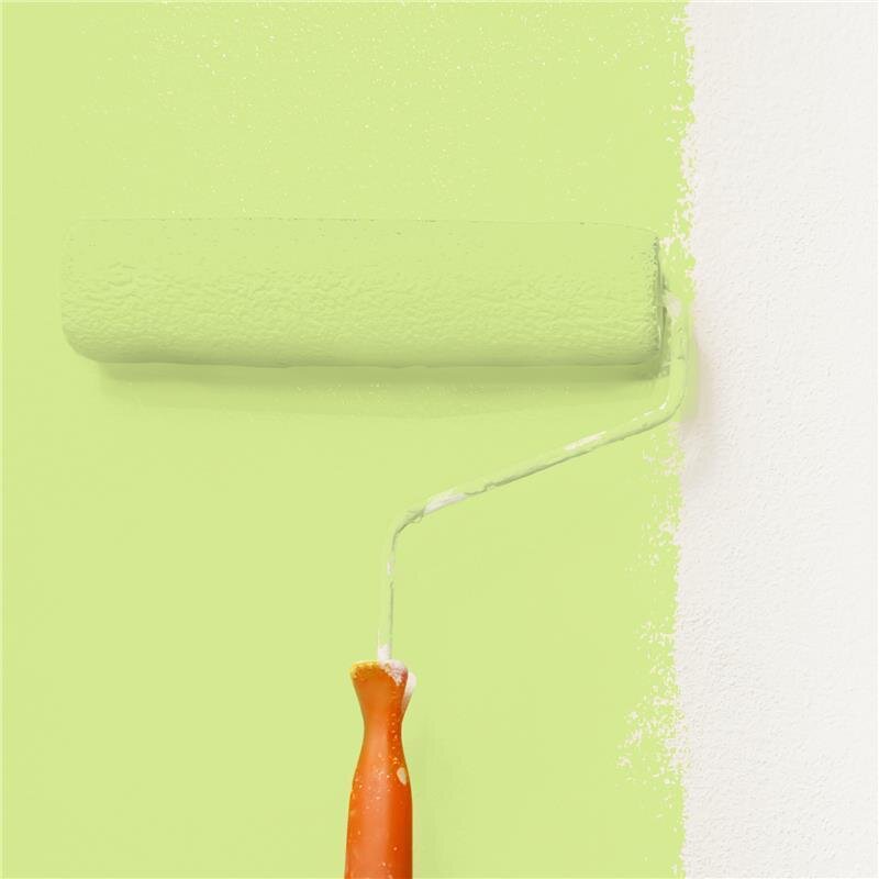 Wandfarbe Matt NCS-S-0540-G50Y Profi Qualität für Innen