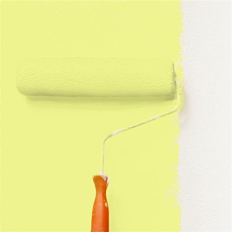 Wandfarbe Matt NCS-S-0540-G70Y Profi Qualität für Innen