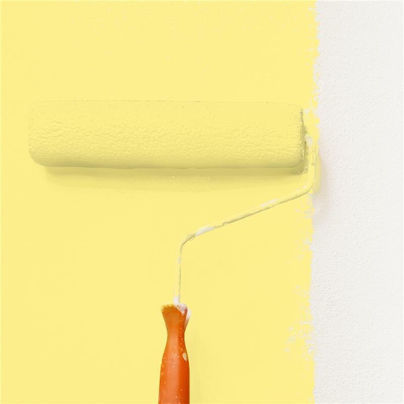 Wandfarbe Matt NCS-S-0540-G90Y Profi Qualität für Innen