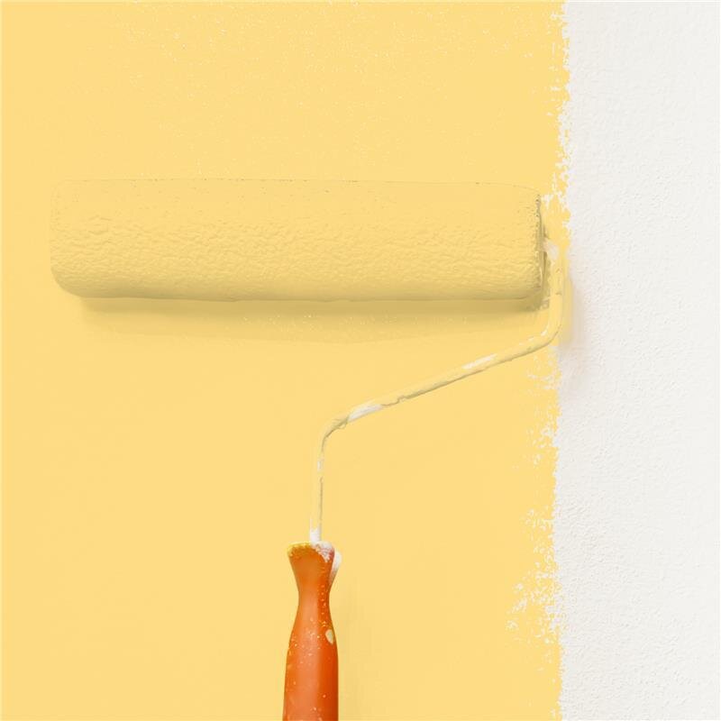 Wandfarbe Matt NCS-S-0540-Y10R Profi Qualität für Innen