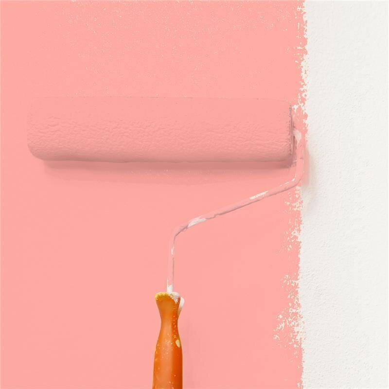 Wandfarbe Matt NCS-S-0540-Y90R Profi Qualität für Innen