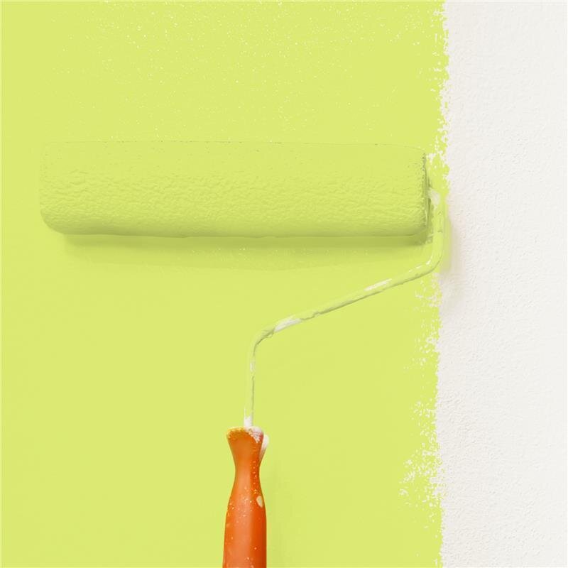 Wandfarbe Matt NCS-S-0550-G60Y Profi Qualität für Innen