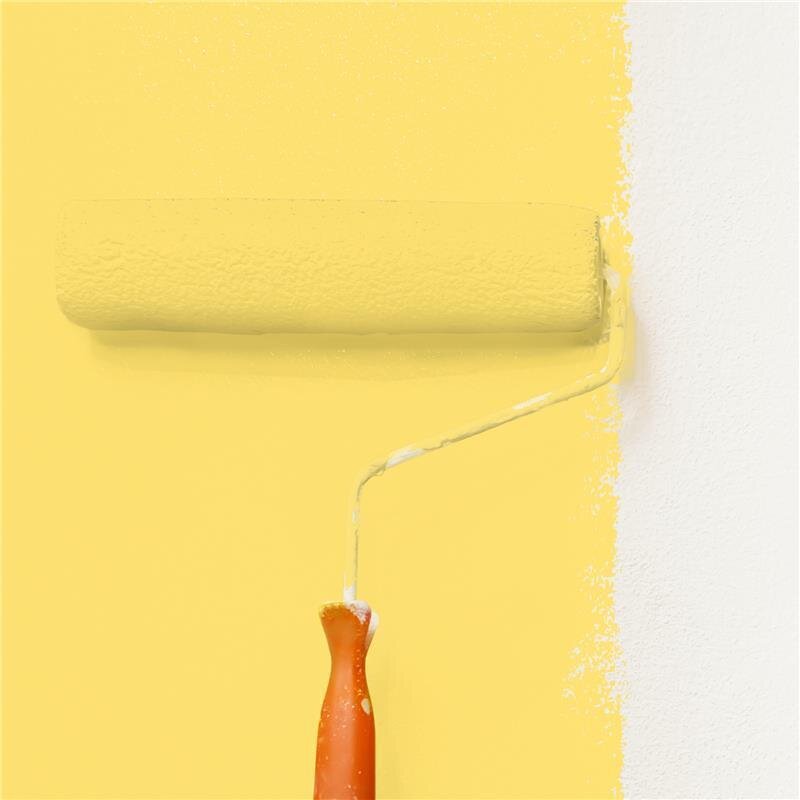 Wandfarbe Matt NCS-S-0550-Y Profi Qualität für Innen