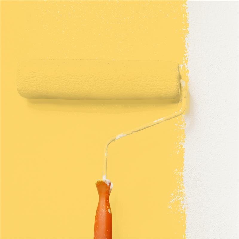 Wandfarbe Matt NCS-S-0550-Y10R Profi Qualität für Innen