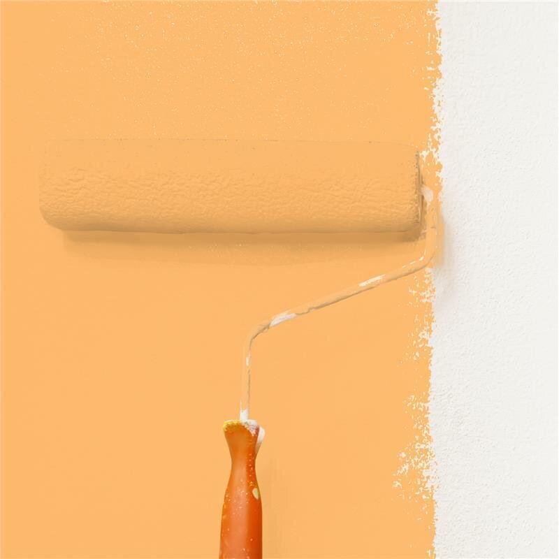 Wandfarbe Matt NCS-S-0550-Y30R Profi Qualität für Innen
