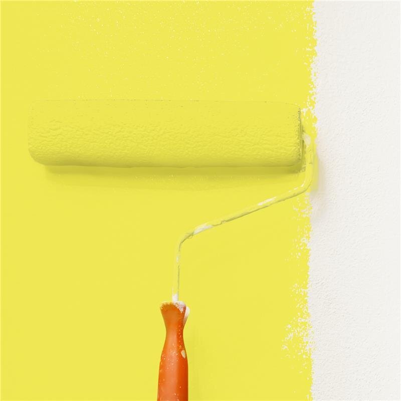 Wandfarbe Matt NCS-S-0560-G80Y Profi Qualität für Innen