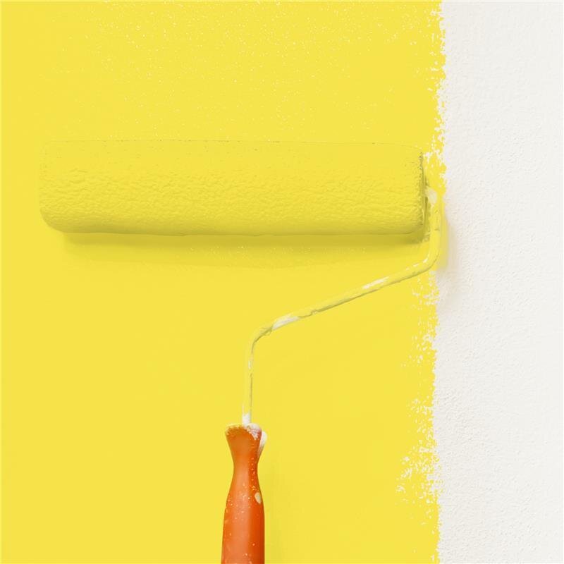 Wandfarbe Matt NCS-S-0560-G90Y Profi Qualität für Innen