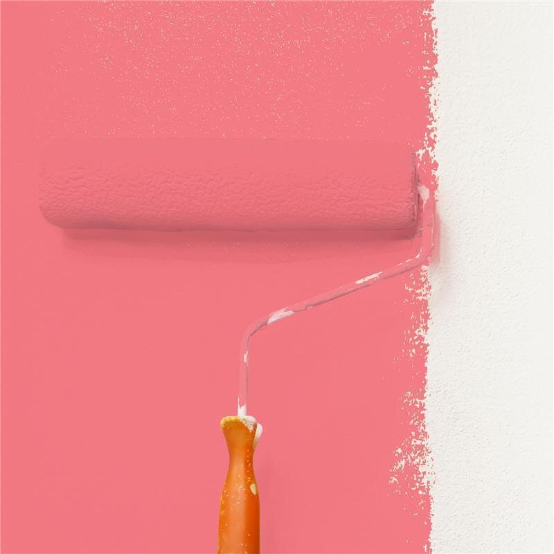 Wandfarbe Matt NCS-S-0560-R Profi Qualität für Innen