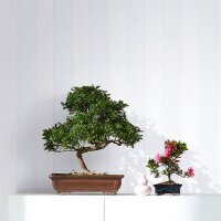 Tapete Grau, Silber, Wei&szlig; Novamur Vliestapete (82303)