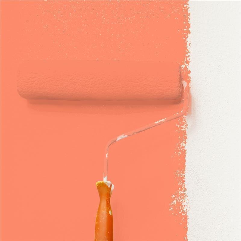 Wandfarbe Matt NCS-S-0560-Y70R Profi Qualität für Innen