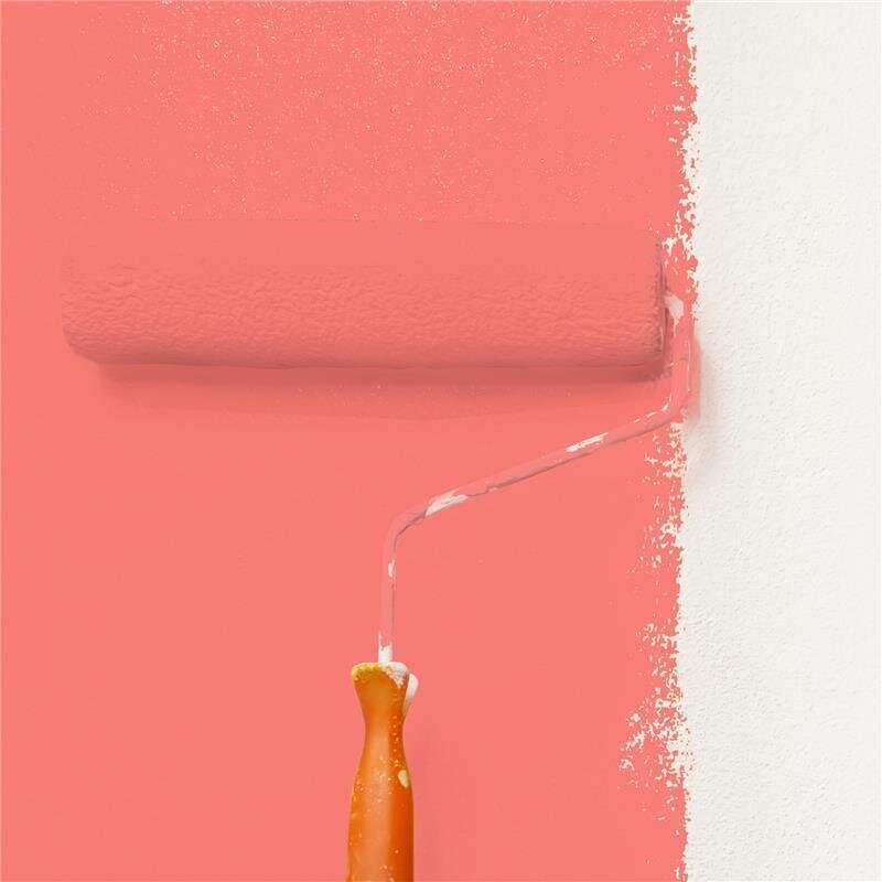 Wandfarbe Matt NCS-S-0560-Y90R Profi Qualität für Innen